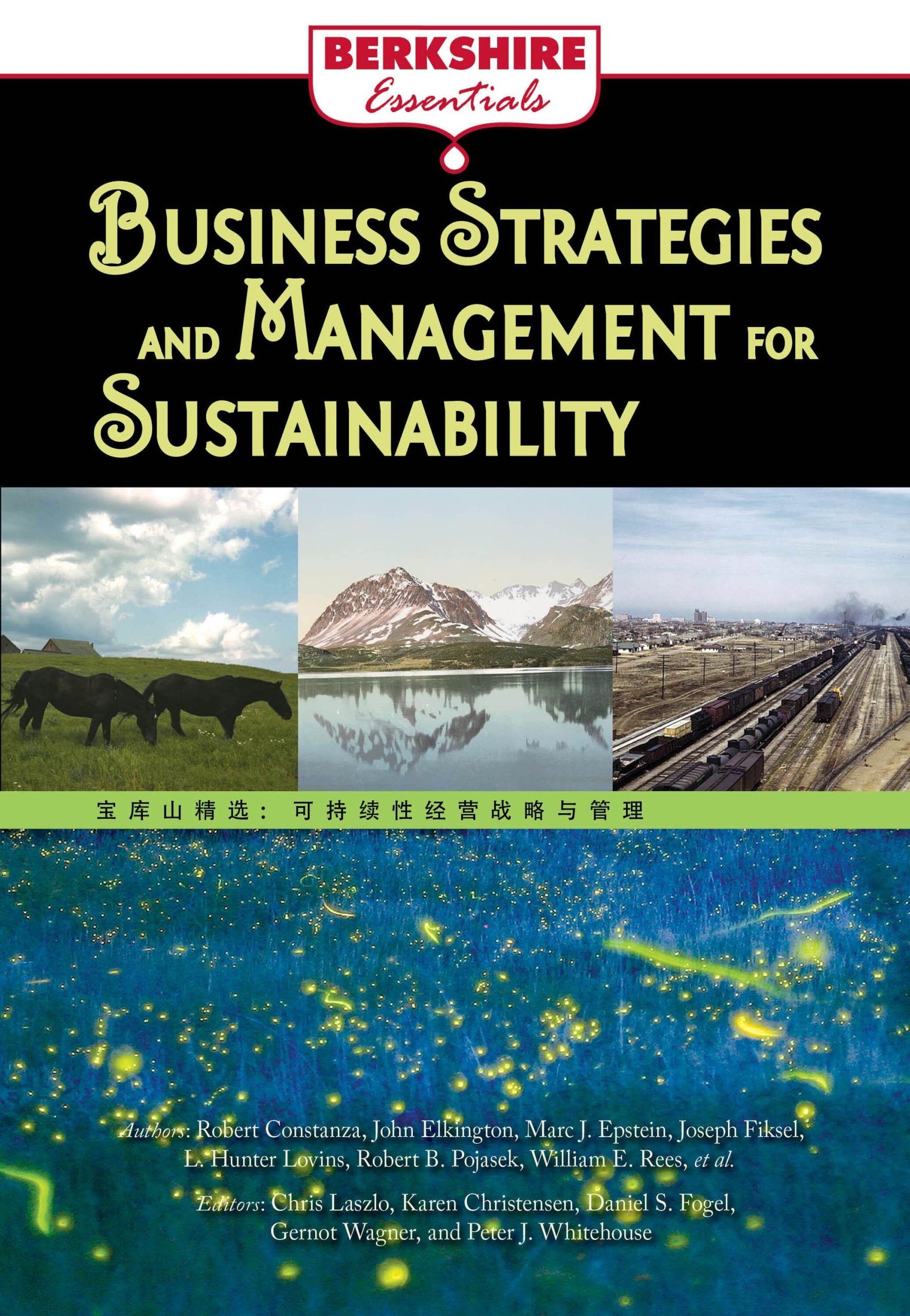 9781614729648.jpg Business Strategies and Management for Sustainability: a Berkshire Essential