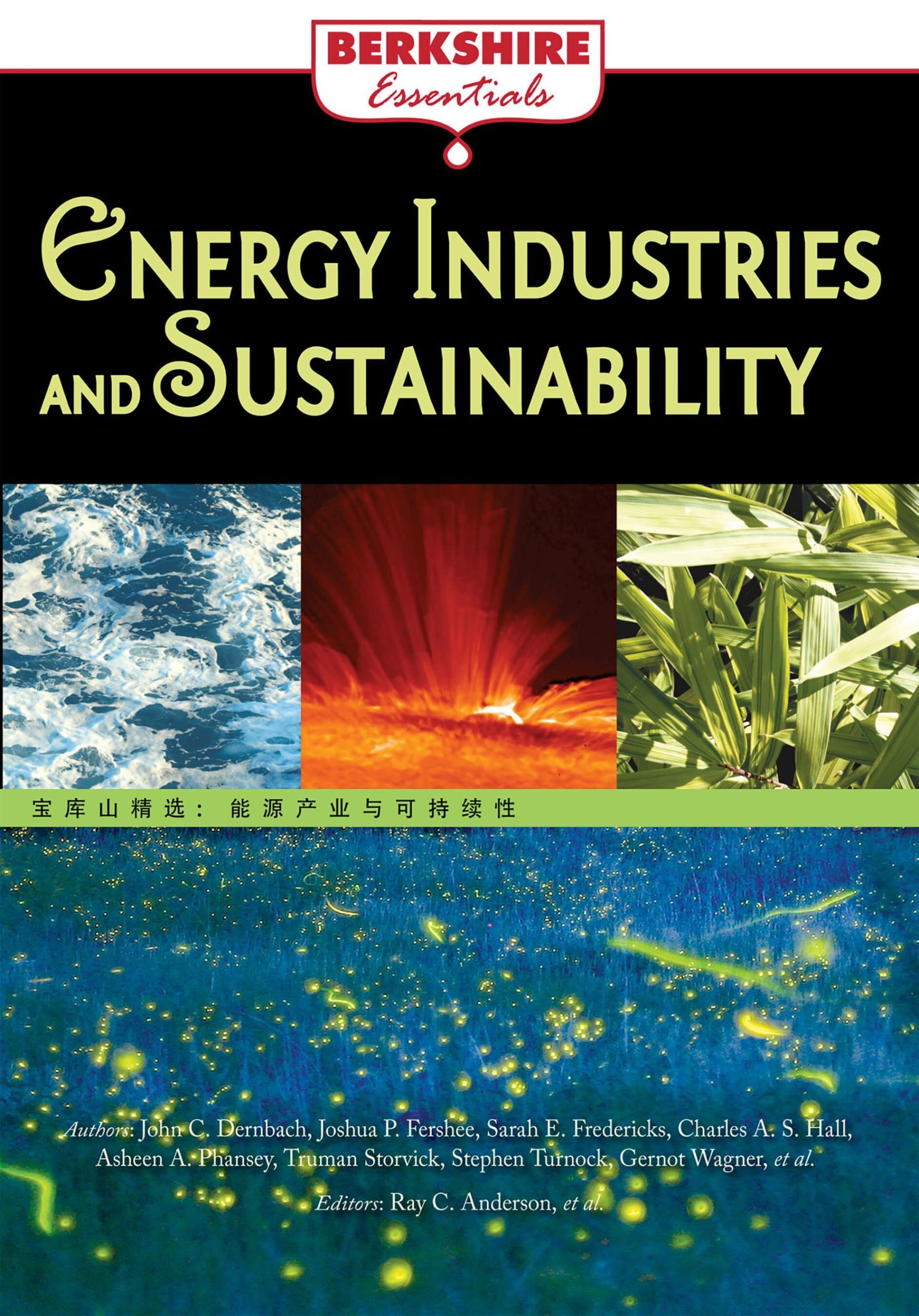 9781614729907.jpg Energy Industries and Sustainability: a Berkshire Essential